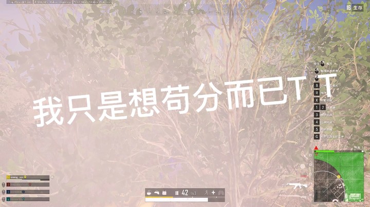 我只是想苟分而已T T