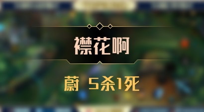 【襟花啊】蔚 5杀1死
