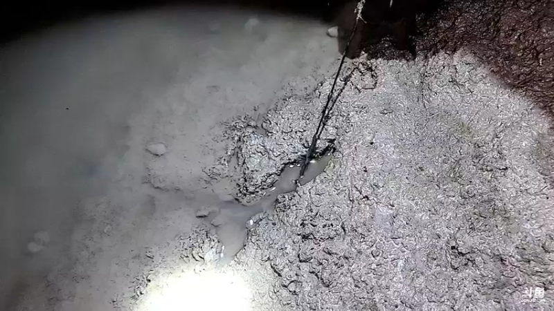 【2022-10-10 19点场】洪湖小肖：今天大小强播我休息一天