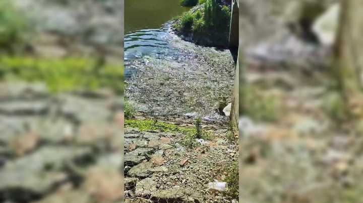 国庆的时候去的湿地公园 贼好玩这里 最重要的是风景很美
