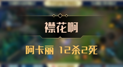 【襟花啊】阿卡丽 12杀2死