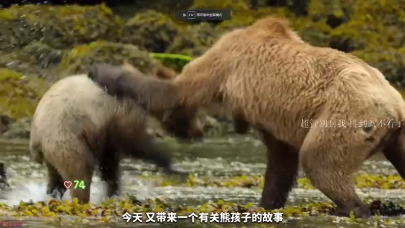 【2022-10-02 13点场】K118吗：守望先锋1结束倒计时 DAY 2