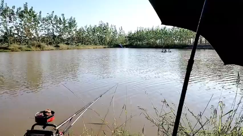 【2022-10-11 15点场】洪湖小肖：下午带美女回家明天猫哥一起节目