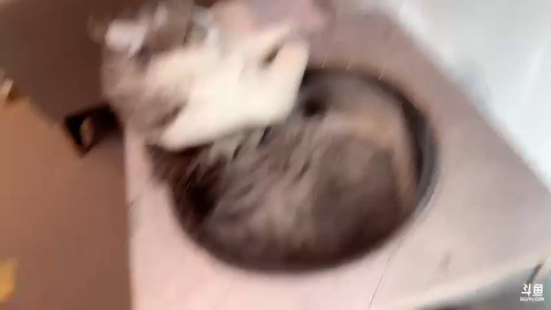 【2022-10-11 14点场】DYG萧玦：播一会块块