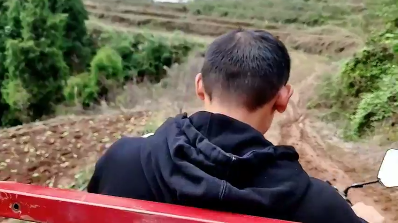 【2022-10-10 11点场】川味箩卜：上午十点半
