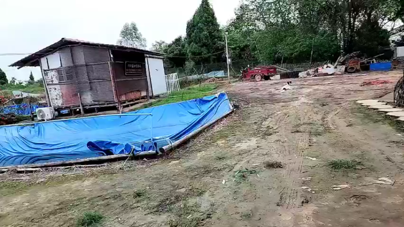 【2022-10-09 13点场】川味箩卜：【钻粉卡】又是充满能量的一天~