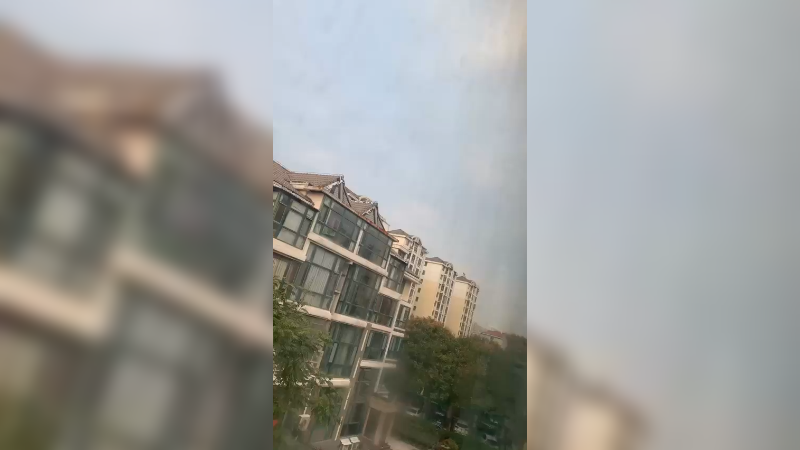 生活日记之小仓鼠