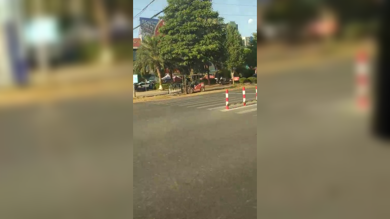 娱乐新物种