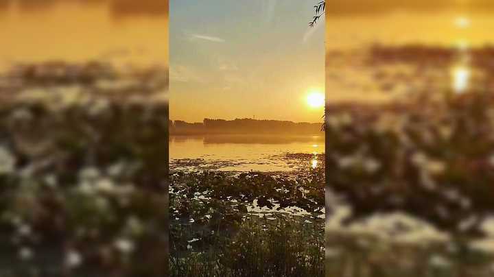 你见过夕阳下的河水吗 太美了简直