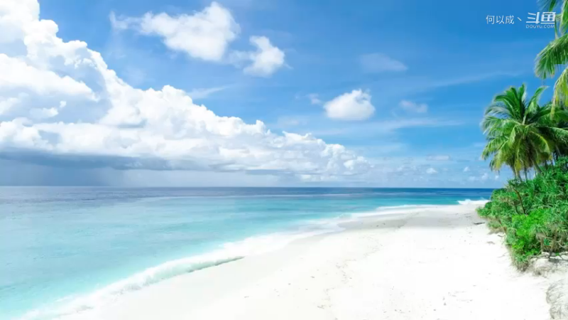 感受海边的气息。
