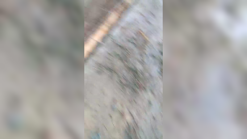 娱乐的走在乡间小路上