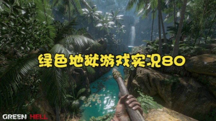 绿色地狱游戏实况80