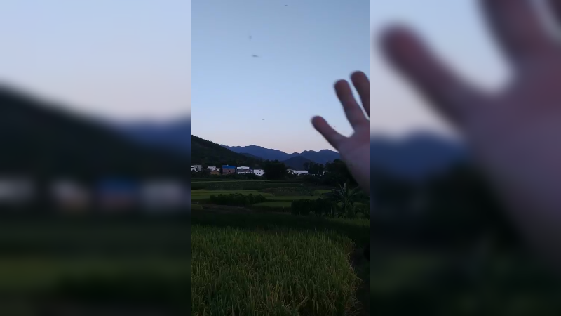 愉乐的坐公交