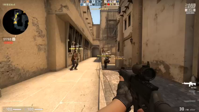 sg这把枪太好用