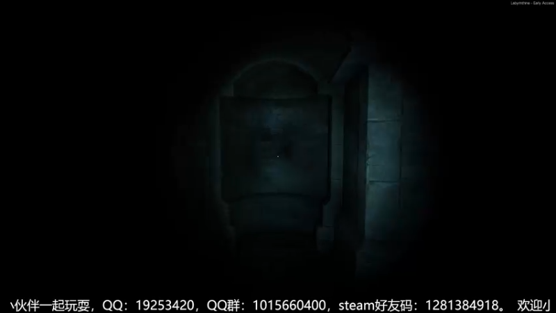 试玩一下新游戏《labyrinth》