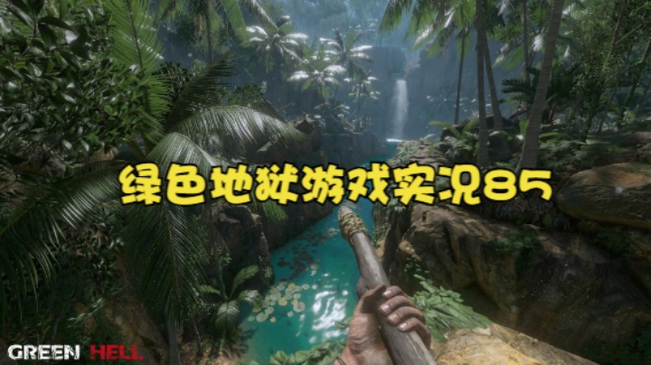 绿色地狱游戏实况85