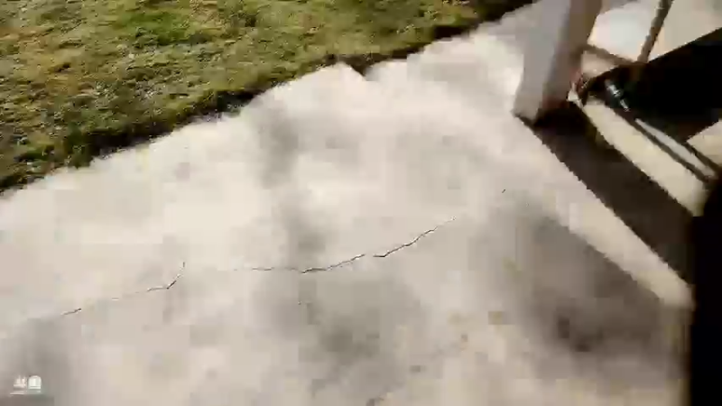【2022-10-13 15点场】大龙猫：洪湖乡村生活初体验。