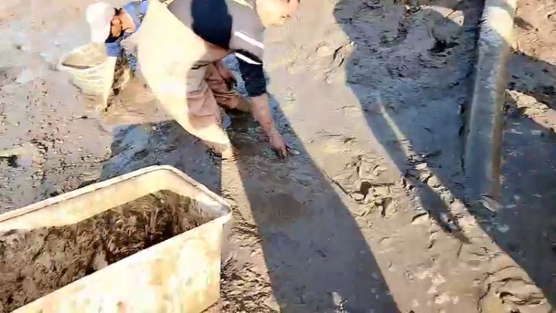 【2022-10-14 16点场】洪湖小肖：推迟1小时3点开