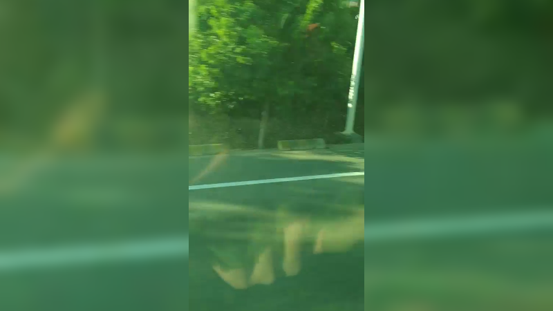 坐车愉快