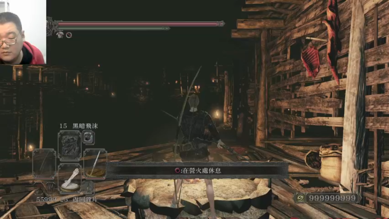 二代原罪学者22-10-13 (21)