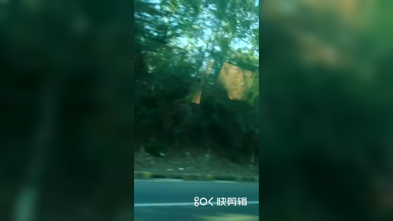 娱乐王牌