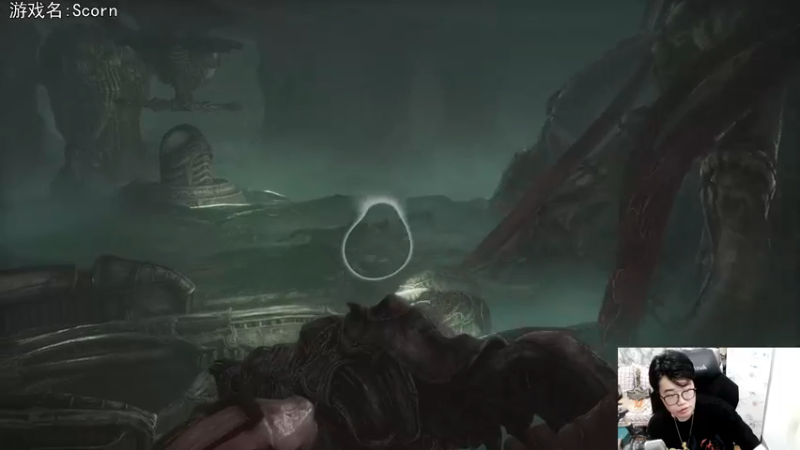 【2022-10-14 20点场】巴格拉斯：热爱生活，走进巴叔