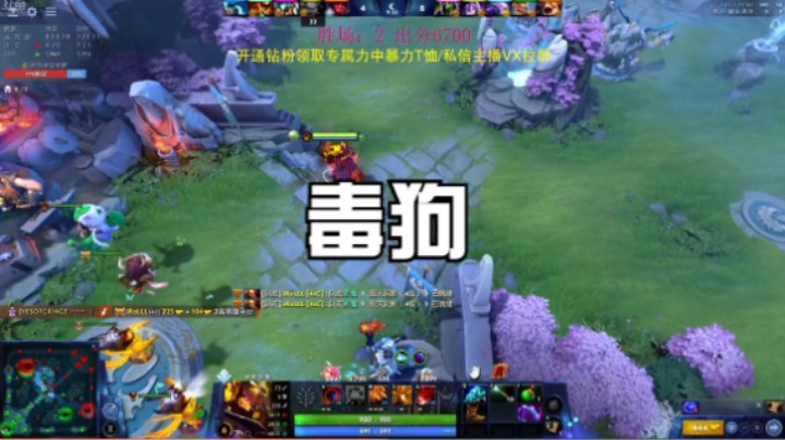 毒狗