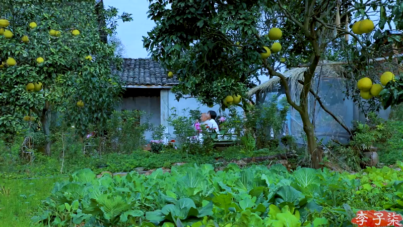 【美食】李子柒liziqi的精彩时刻 20221015 13点场