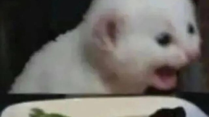 疫情快过去吧