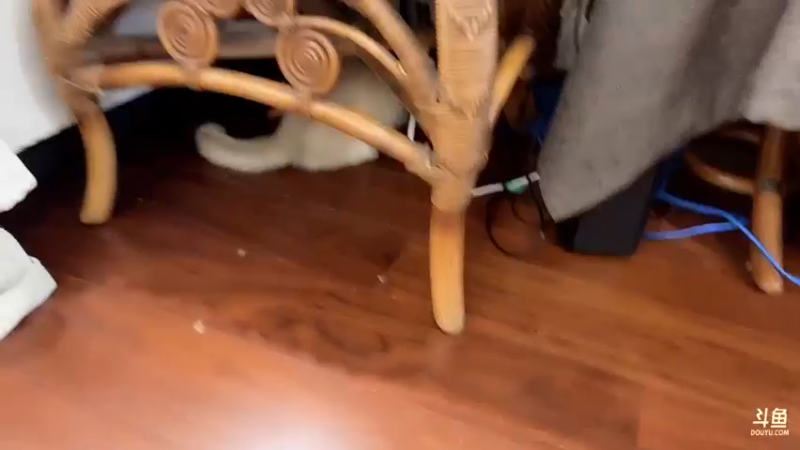 【2022-10-15 20点场】真栗：我有猫啦！！！！！