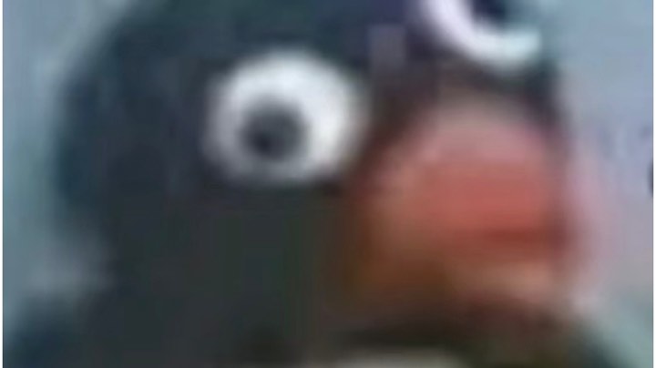 老六车队
