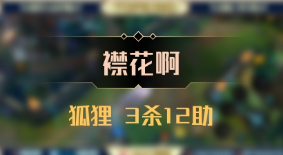 【襟花啊】狐狸 3杀12助