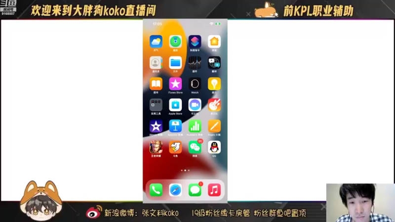 【2022-10-15 17点场】大胖狗koko：3国服在榜 辅助 冲击前十