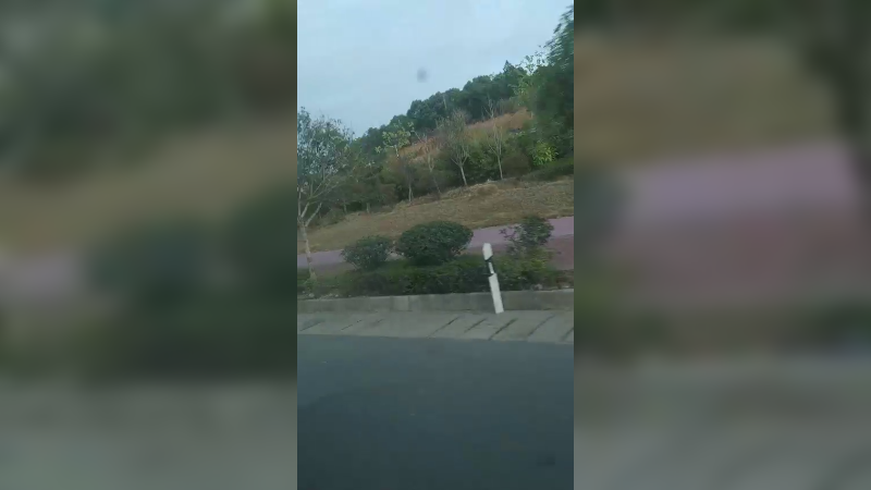 山野通道