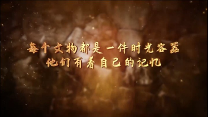 第九集  1952年上甘岭战斗后遗留的树桩