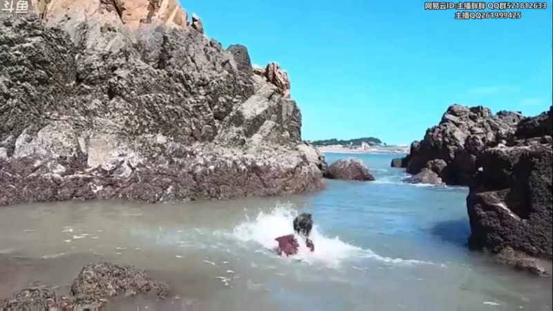 【2022-10-17 02点场】胖胖灬：胖胖OB：TES倒了，RNG第一冲啊！