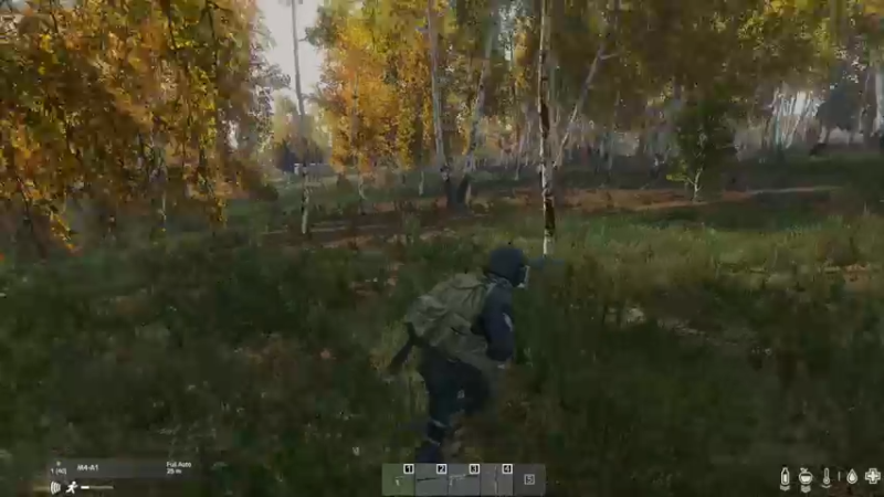 【2022-10-17 15点场】dayz韩爱东西：老韩车臣尼亚历险记