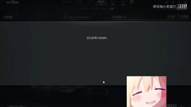 吃鸡游戏视频12