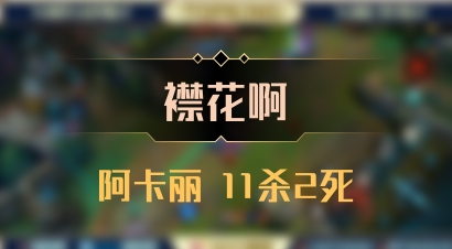 【襟花啊】阿卡丽 11杀2死