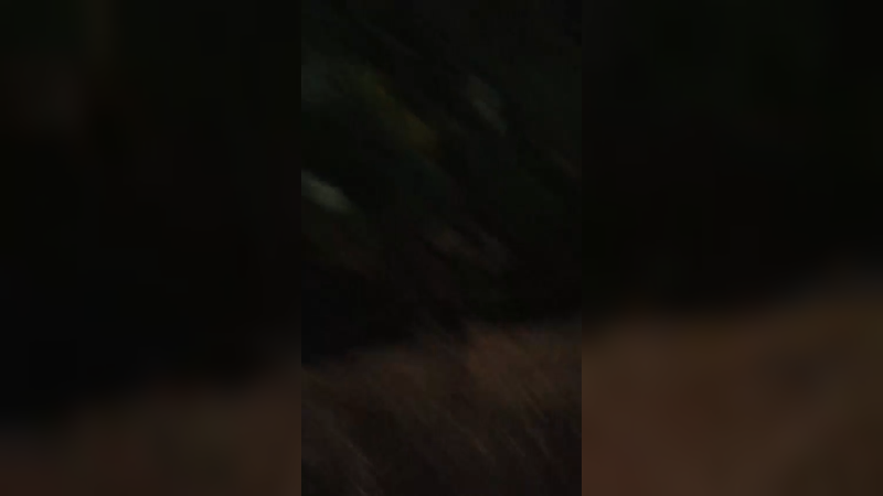 乡间小路