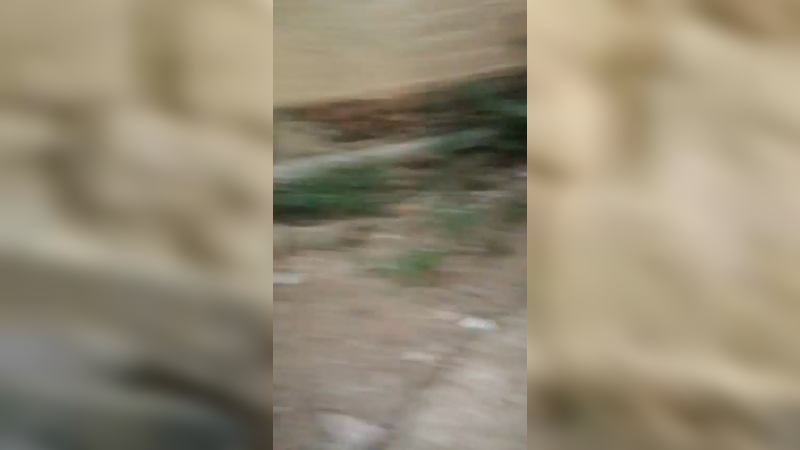 乡间小路