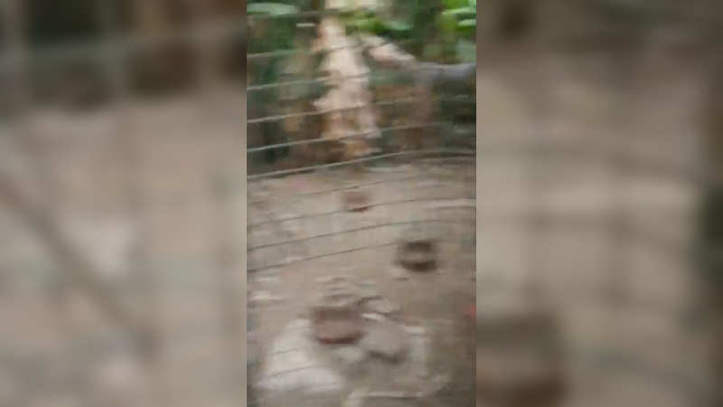 乡间小路