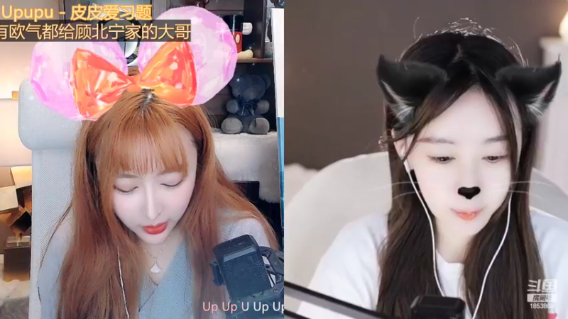 【2022-10-18 00点场】顾北宁：最爱我的小乌龟