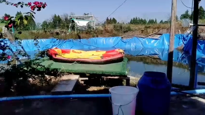 【2022-10-19 14点场】川味箩卜：上午十点半～