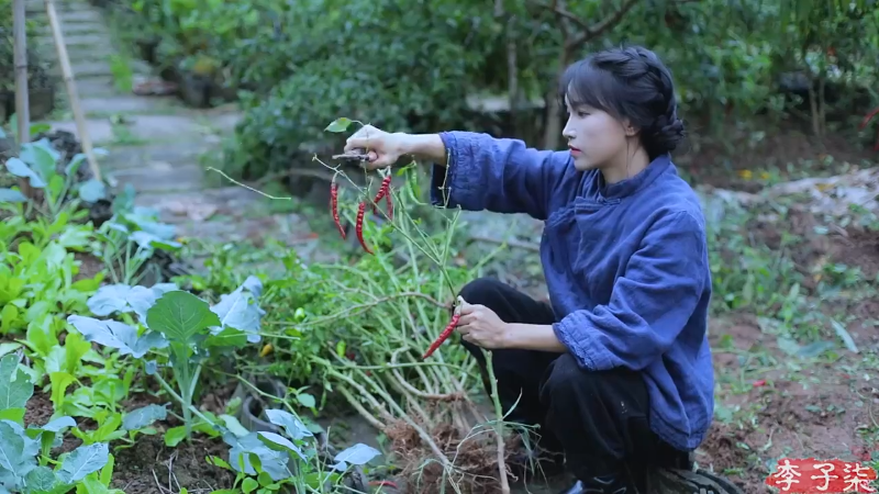 【美食】李子柒liziqi的精彩时刻 20221019 14点场