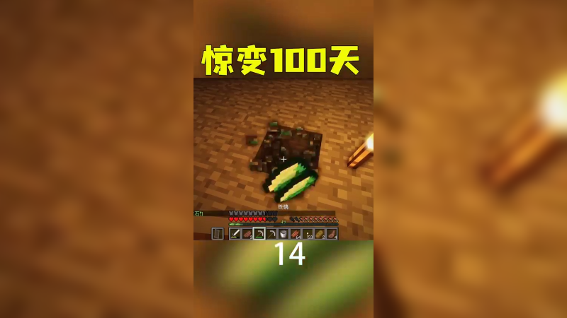 惊变100天29
