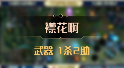 【襟花啊】武器 1杀2助