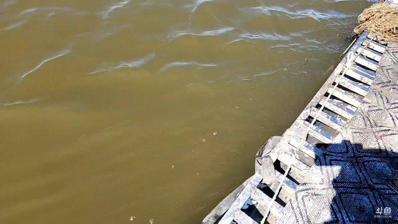 【户外】微山湖捕鱼武工队的精彩时刻 20221019 11点场