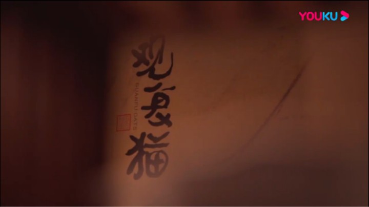 观复嘟嘟2022第十四集《我与观复猫》