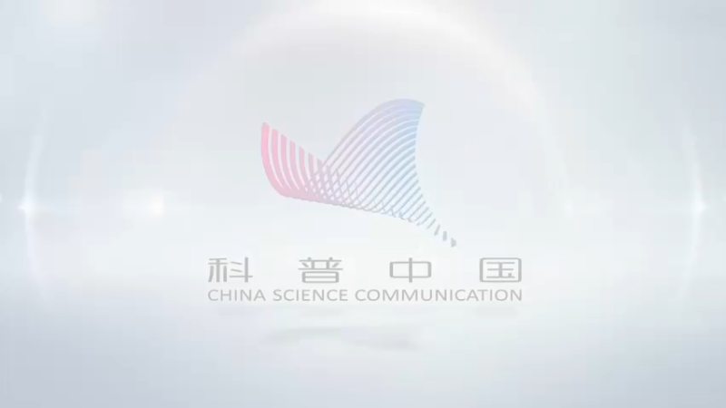 《时代镜像》：中国高铁“铺路人”